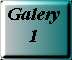 Galery 1