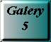 Galery 5
