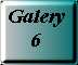 Galery 6