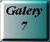 Galery 7