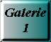Galerie 1